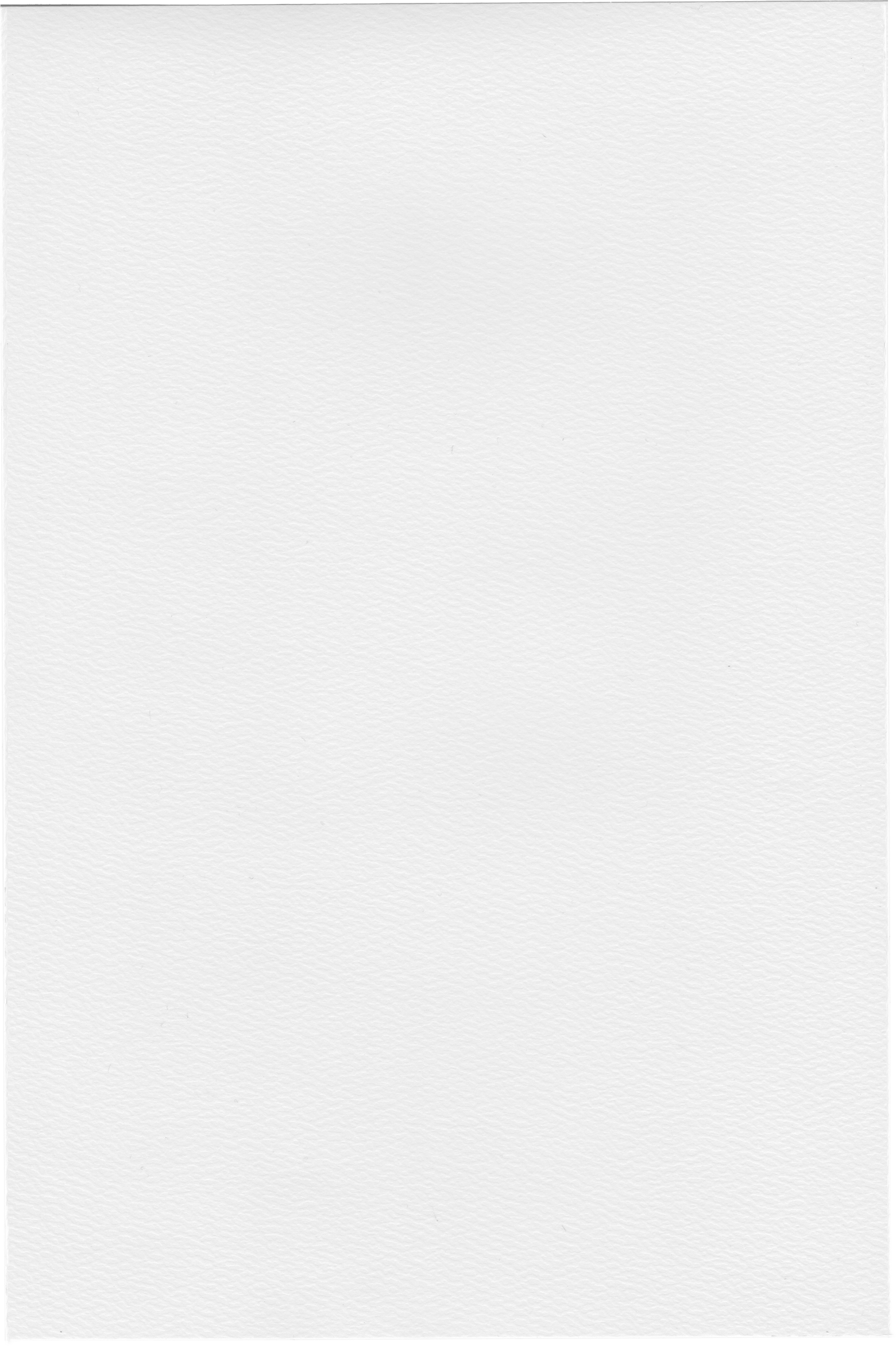 Paper Texture 